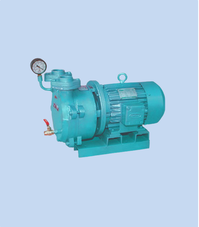 Oil Seal Vacuum Pump Manufacturer Delhi for Laboratories and Industries